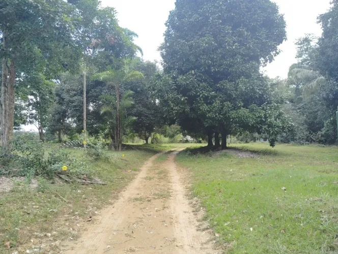 Am 010  km 85 Ramal ZF - Rio Preto  Vendo Lindo Sito