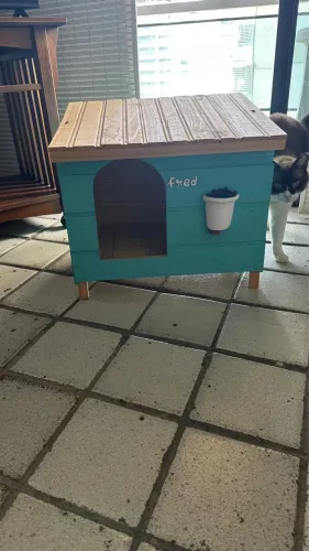 Casinha de cachorro ou gato