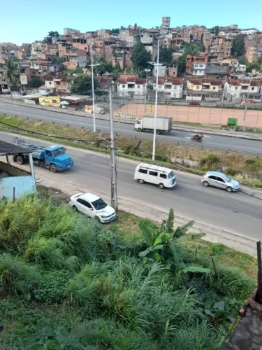 Pau da Lima