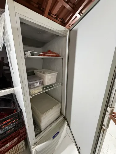 Freezer congelamento vertical