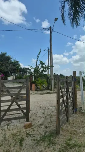 Imóvel para venda tem 1000 metros quadrados em Bairro Novo - Tracunhaém - PE