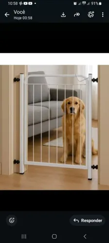 Portãozinho para pet