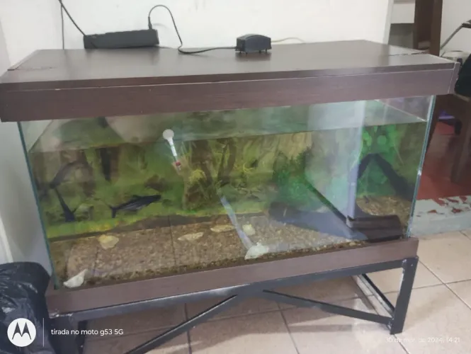 Aquário de 200 litros