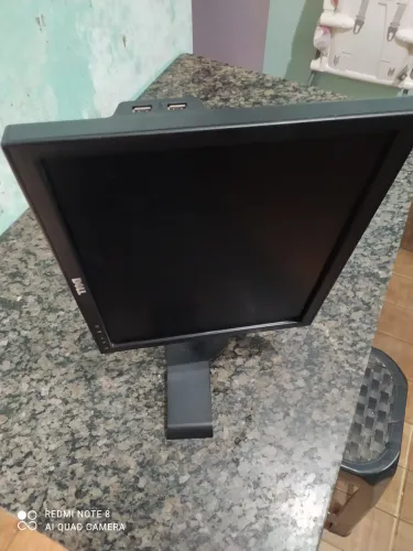 Monitor Dell 17 articulado 