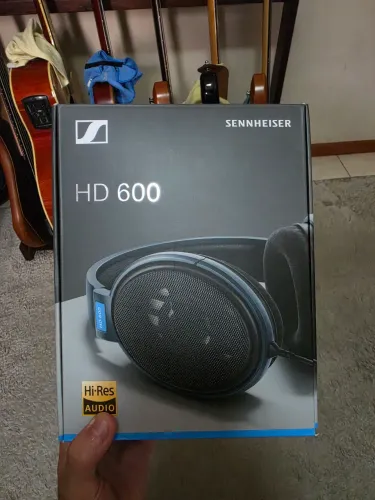 Sennheiser hd600