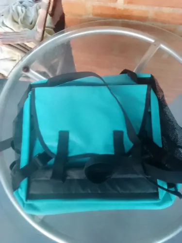 Cadeira de pet 