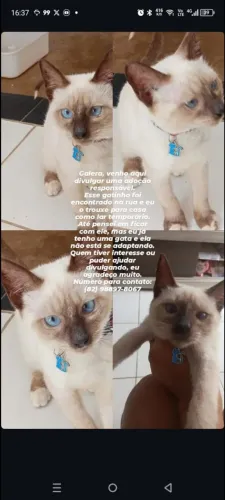 Olá, eu me chamo Lenni!