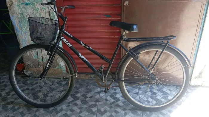 Bicicleta Poti