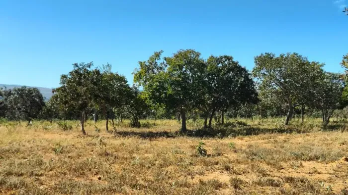 Terreno 650m² em Curvelo Proximo de Paraopeba