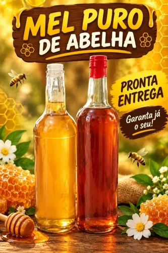 Mel puro da coméia pra sua casa