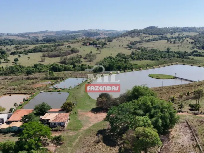 Fazenda 10 Alqueires (48,4 Hectares) Itauçu - GO