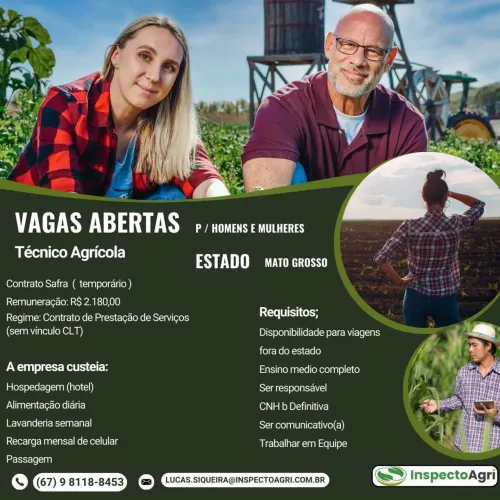 Auditor agrícola ESTADOS MT, TO E GO