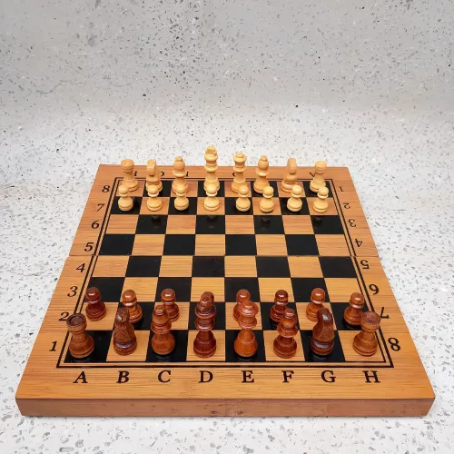 Xadrez 30x30 cm ? Peças de Madeira + Dama e Gamão