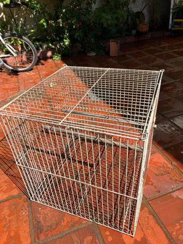 gaiola aramada de metal com dimensões de 60x60 cm