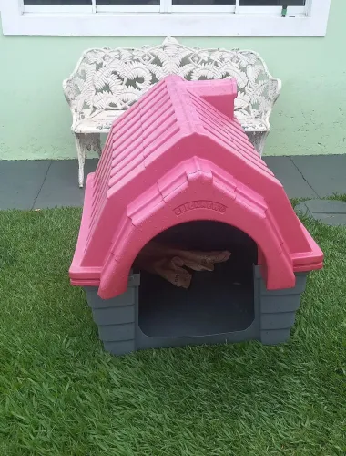 Casinha de cachorro