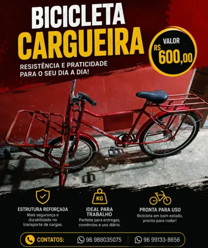 BICICLETA CARGUEIRA