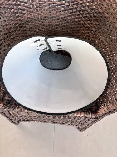 Colar elizabetano para cães 