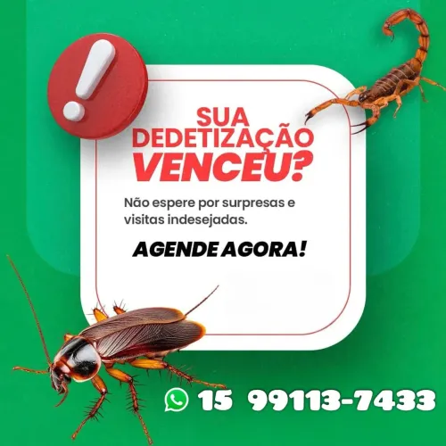 Dedetização 