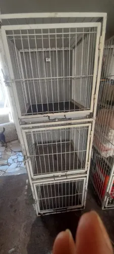 Gaiola Pet Shop