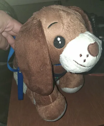 Cachorro Criamigos Original com roupa original