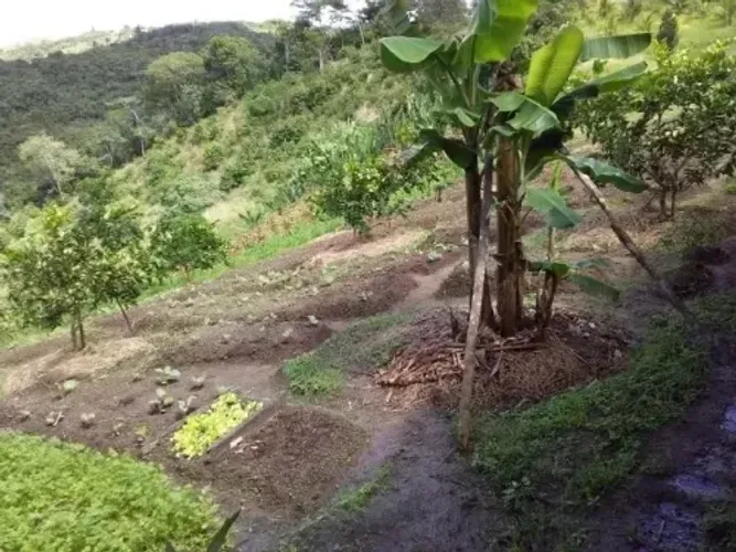 Vendo sítio em Muribeca 