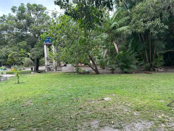 Vendo Sítio próximo Av. General Arthur Carvalhor