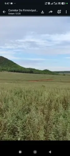 Fazenda 103 alqueires em Palestina de Goiás. R$:22 milhões.