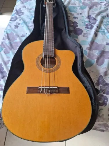 OPORTUNIDADE VIOLÃO SALVADOR IBANEZ SÉRIE ESPECIAL MODELO G5TECE-AM