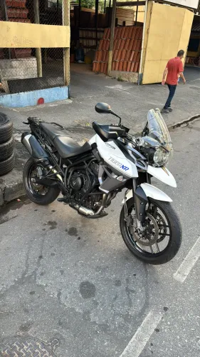 Tiger 800 2016