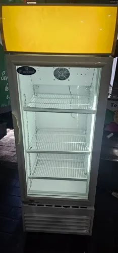 Expositor 210 litros com motor novo 