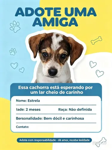 Cachorrinha