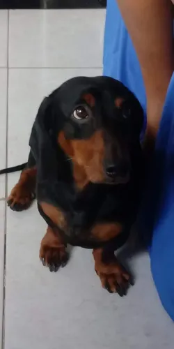Procuro uma namorada