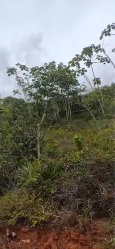 ? OPORTUNIDADE EM BARRA DE POJUCA - TERRENO IDEAL PARA SÍTIO OU INVESTIMENTO! ?