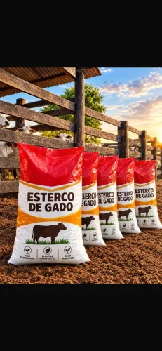 Esterco de gado