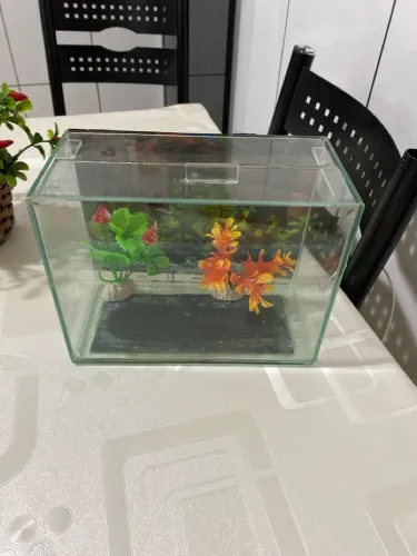 Aquário pequeno 