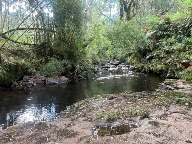 Terreno c/ rio - Urubici SC - próximo asfalto - 3 hectares