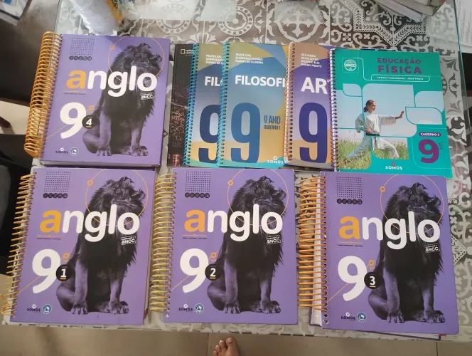 Livros 9° Ano - Anglo