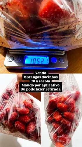 Morangos grandes