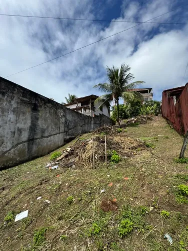 Terrenos, sítios e fazendas - São Francisco, Ilhéus - BA | OLX