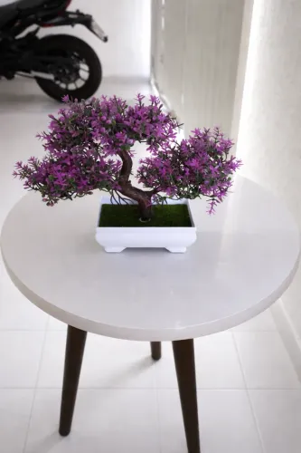 planta decorativa