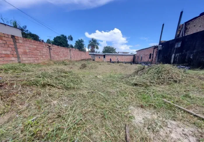 NOVO ALEIXO, Terreno