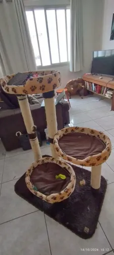 Árvore parta gatos com arranhador