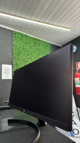Monitor LG ultrawide 29?