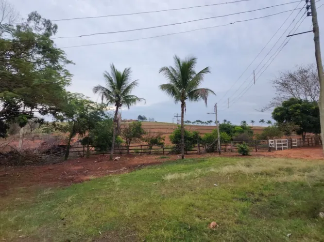 Sítio à venda, 37 alqueires por R$ 7.400.000 - Duartina/SP