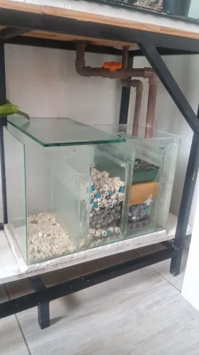 Aquário sem o Vidro da frente