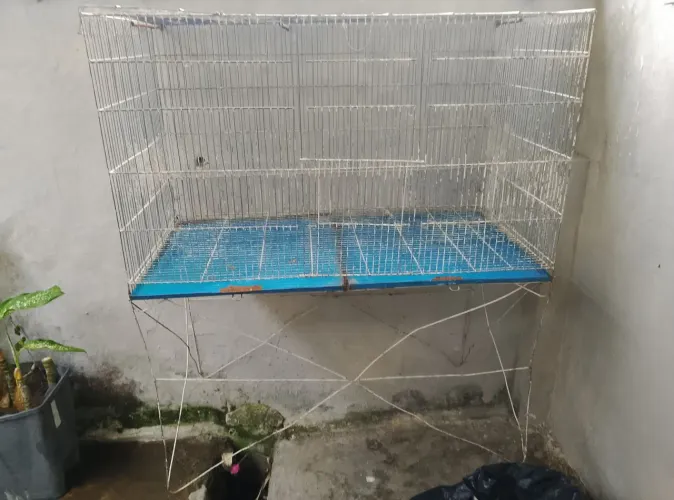 Gaiola viveiro para passarinhos 