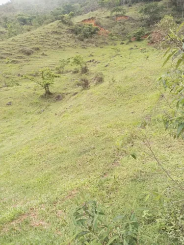 vende-se um terreno de 57 hectares em Antônio Dias MG