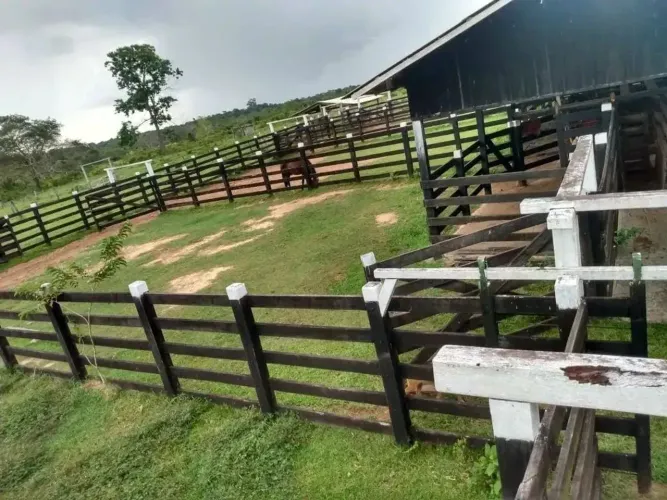 Linda Fazenda com 600 Hectares, próximo a BR 174 e bola do 500. PORTEIRA FECHADA!!!