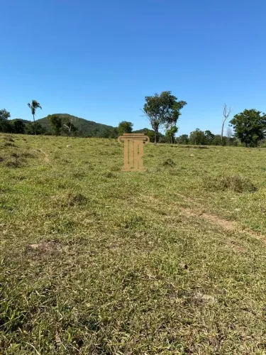 Fazenda na região de Paracatu- MG com 212 hectares