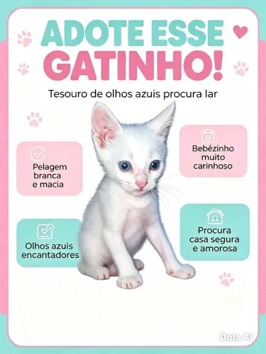ADOTAR É AMAR GATINHO LINDO